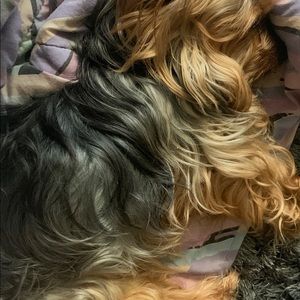 Meet your Posher, Cierra